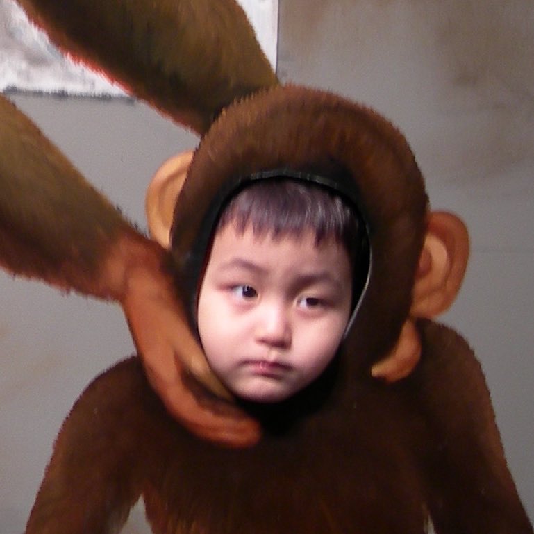 QVipFL