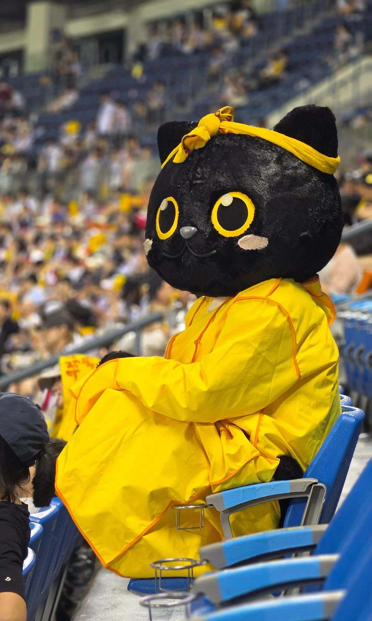 QZNoYU