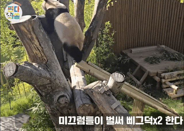 QbjcVk.gif