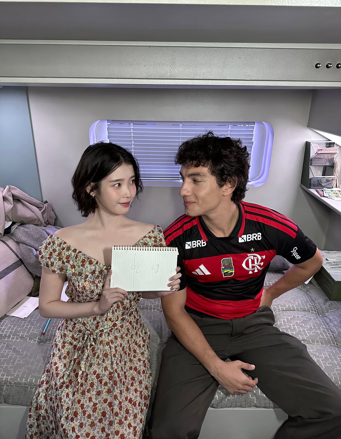 QclAna