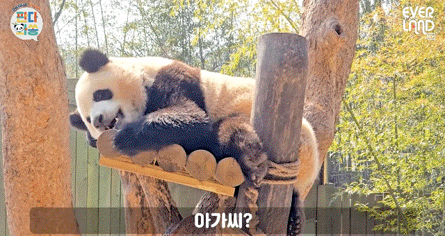 QdcqHO.gif