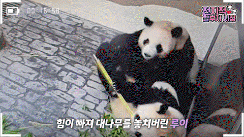 QfYxNr.gif