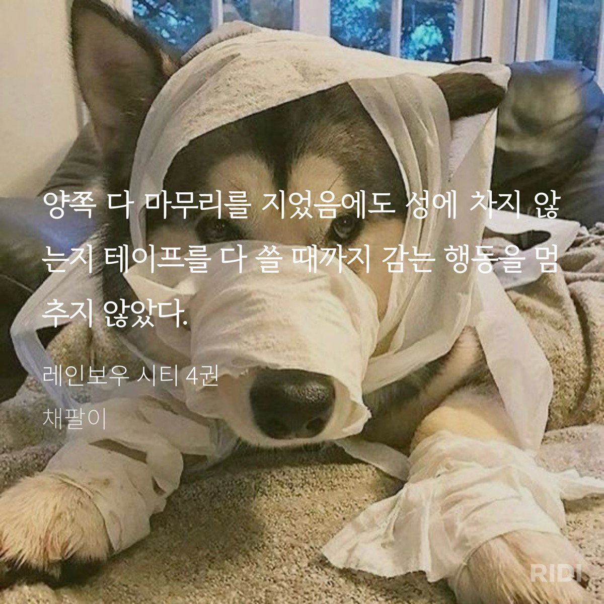 QfZtPW