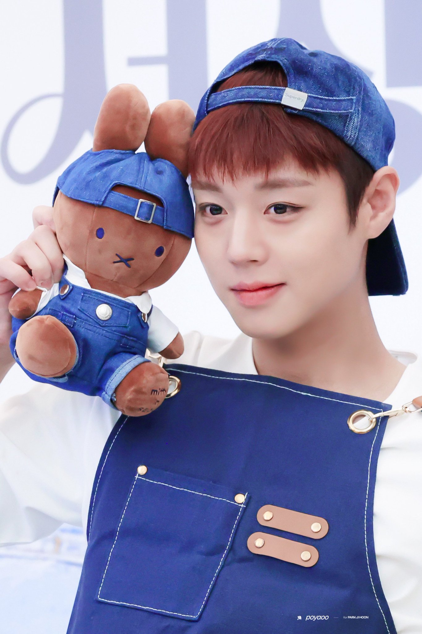 QgISjP