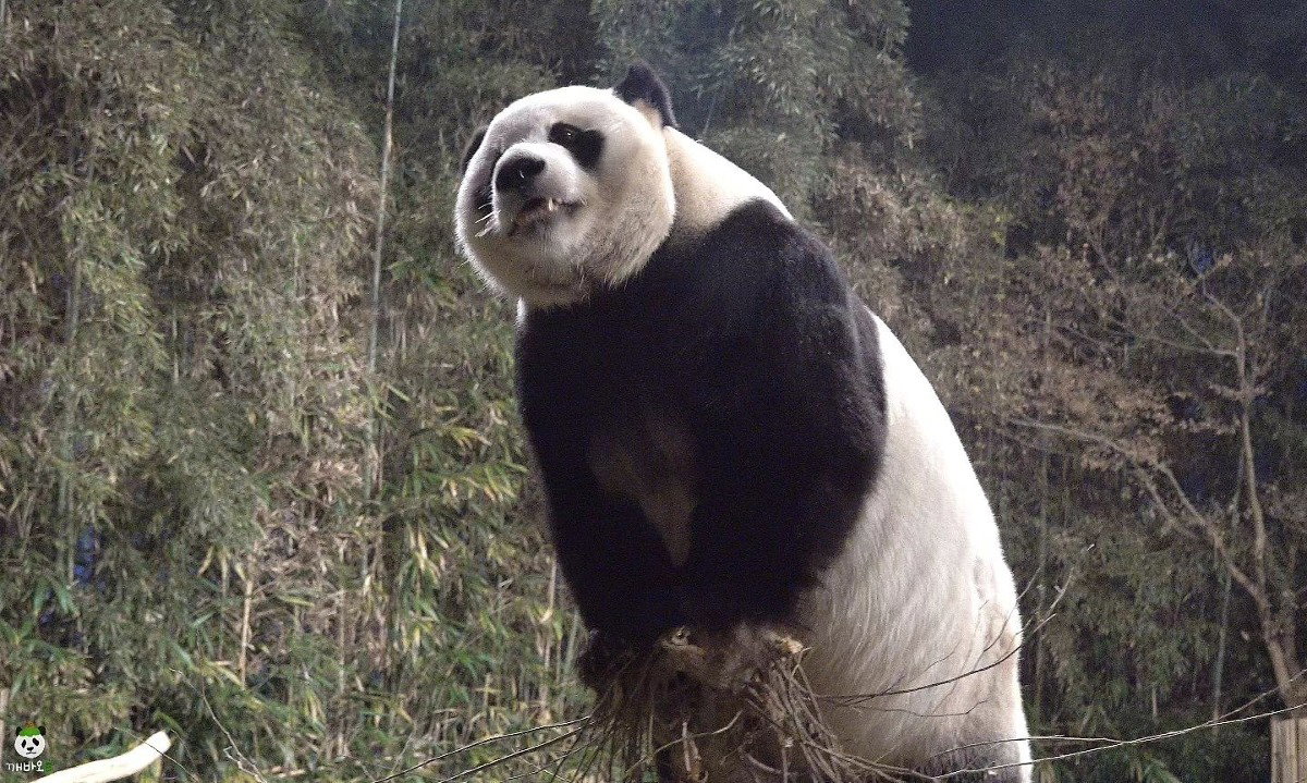 QjuxCG