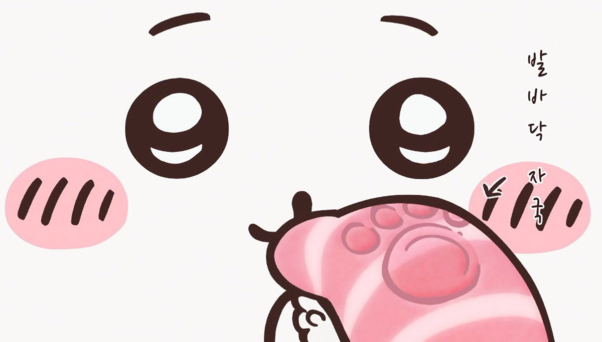 QnKXGR