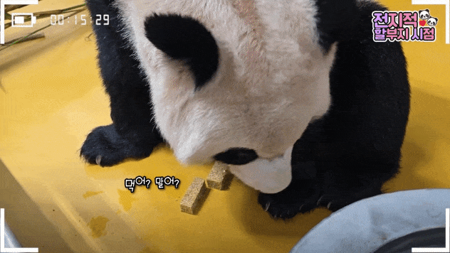 QnUyOn.gif