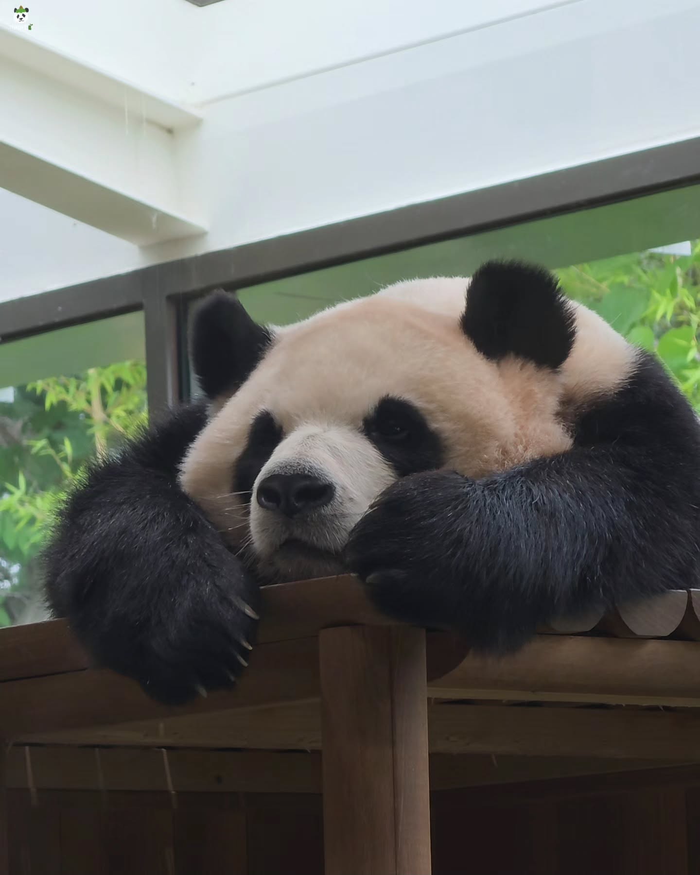 QnhUAX