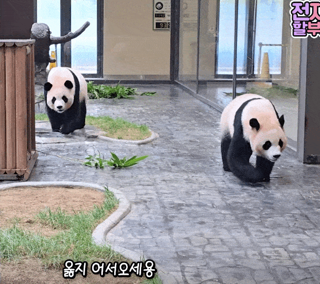 QoFBwf.gif