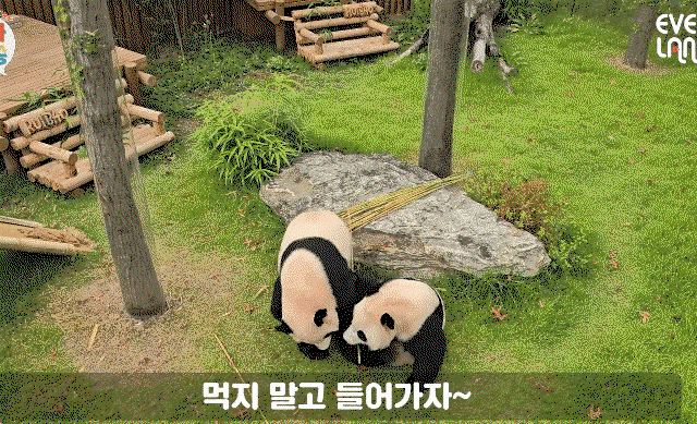 QoUBHP.gif