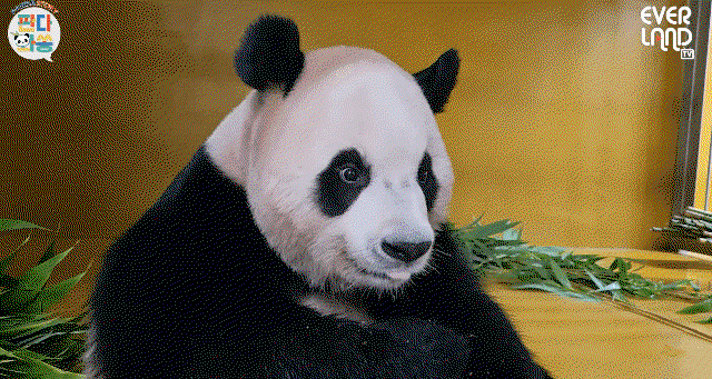 Qowqnz.gif