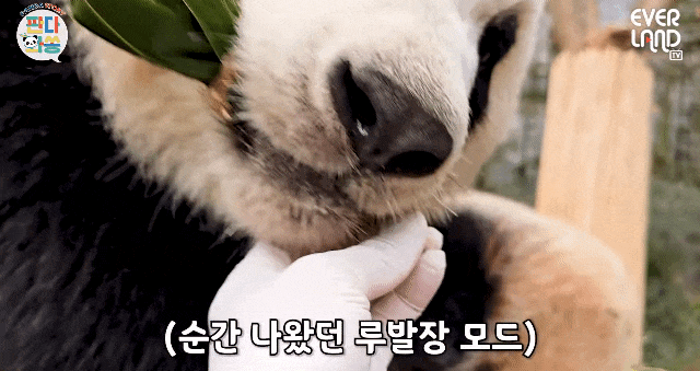 QqXvRJ.gif