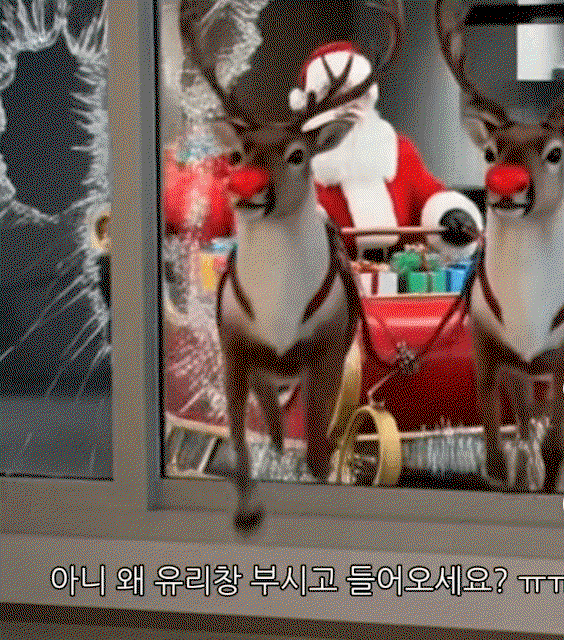 QrtLeC.gif