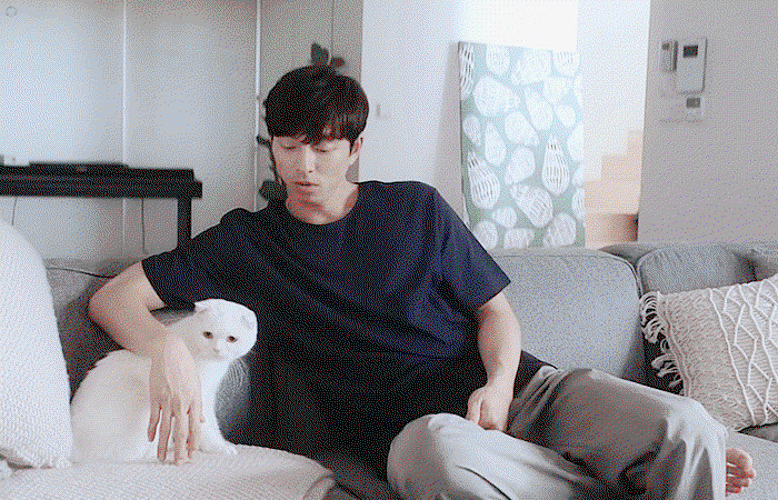 Qrudzd.gif