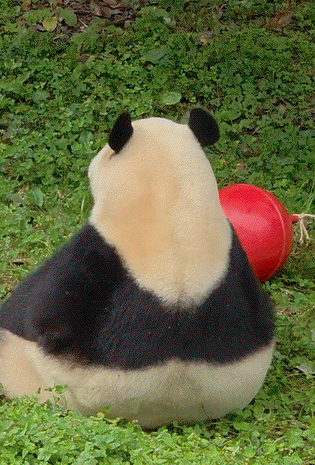 QsuHqn.gif