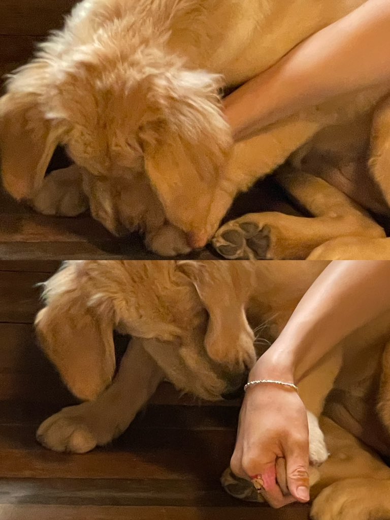 QwMmtE