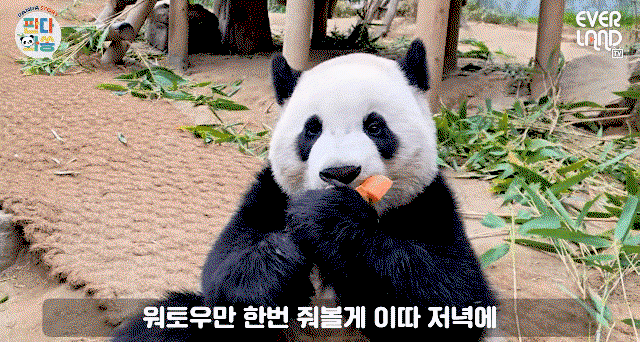 QxWevH.gif