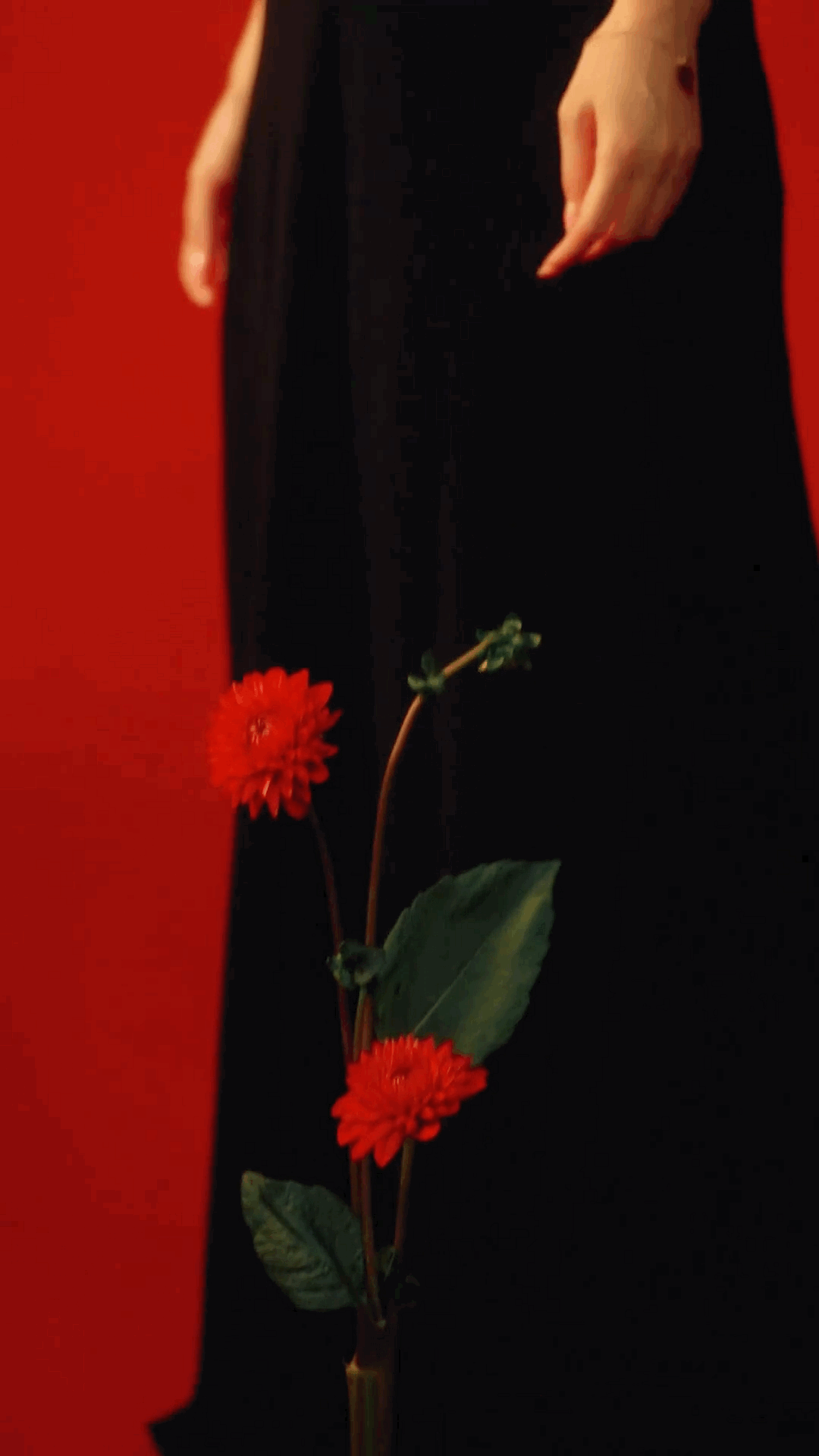 QxbPPd.gif