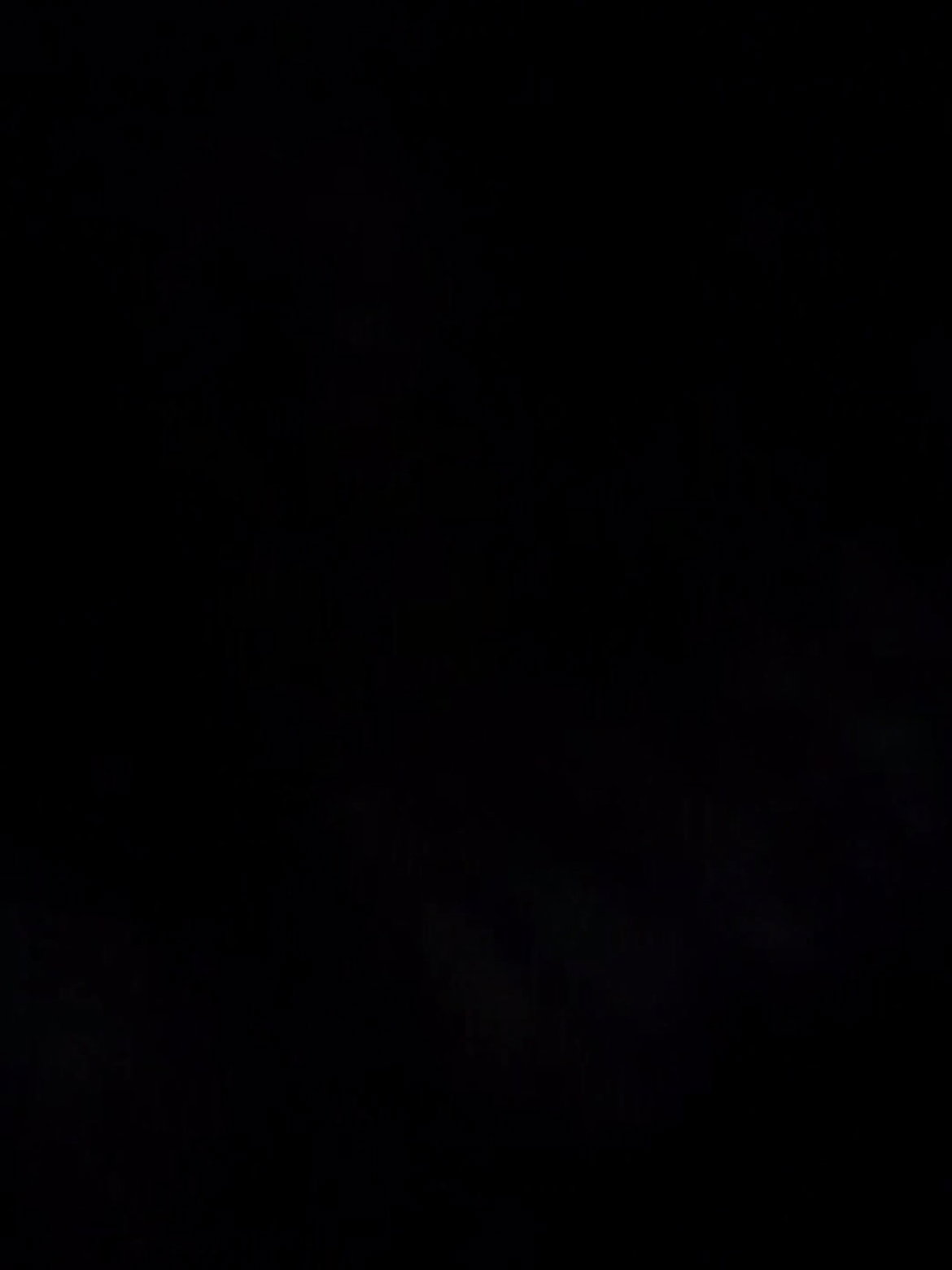 Qzbtes