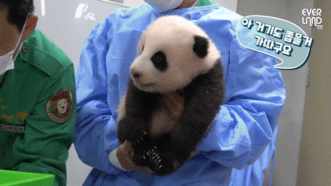 QziioP.gif