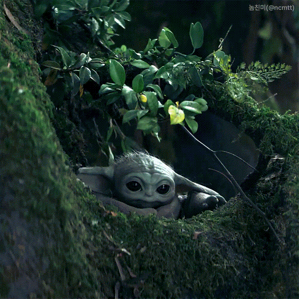RAiqly.gif