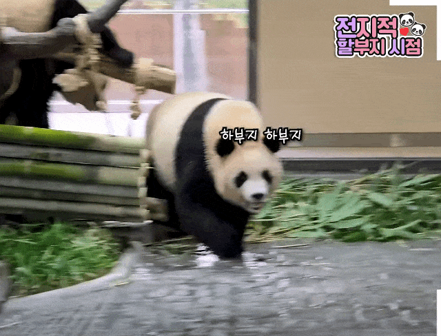 RBbJsM.gif