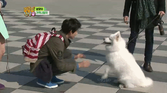 RBktwi.gif