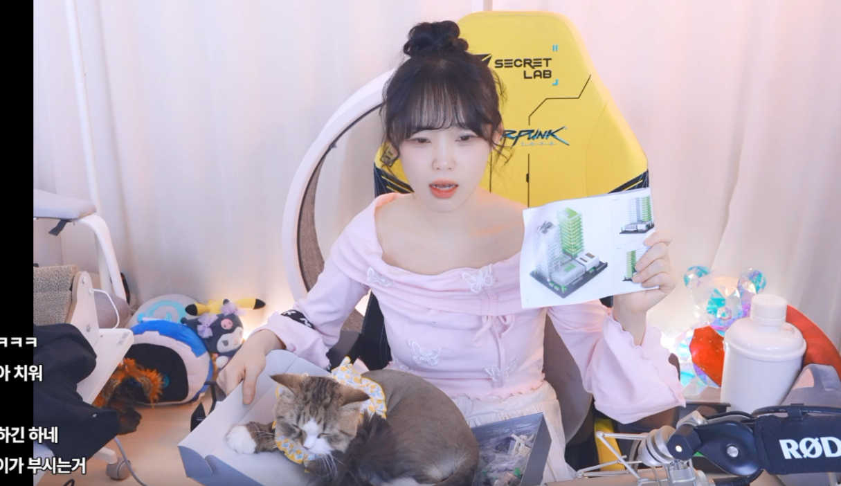 RCSYCq