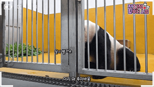 RDhrgh.gif