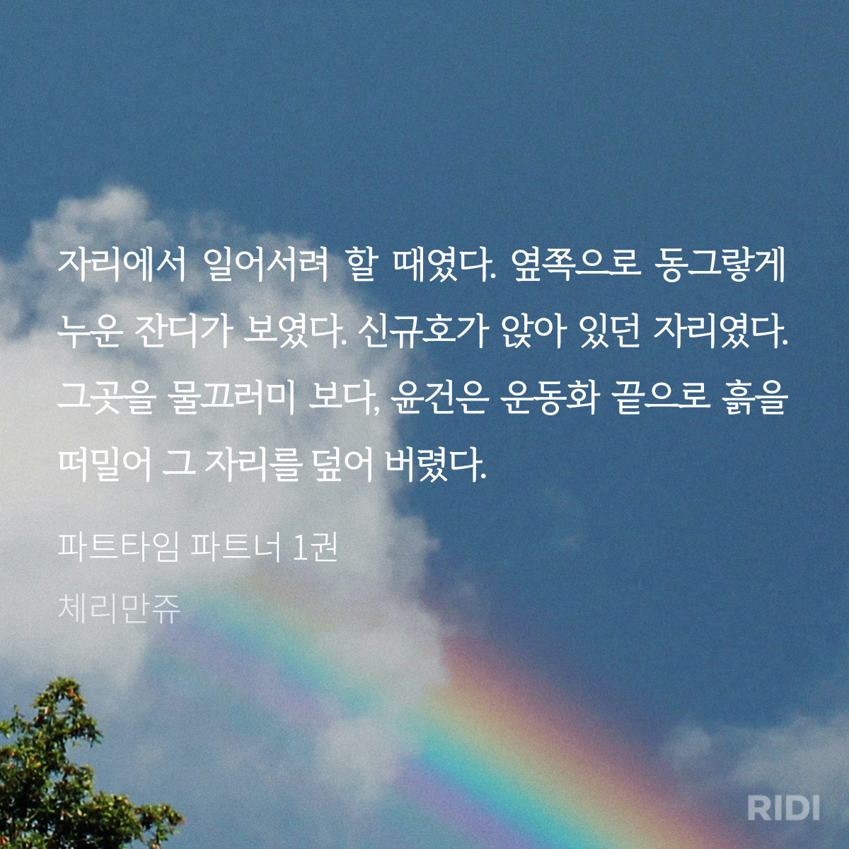 RFBXXr