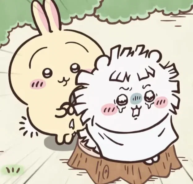 RFcNSd