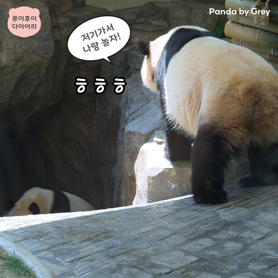 RGVohK