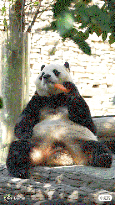 RHstnR.gif