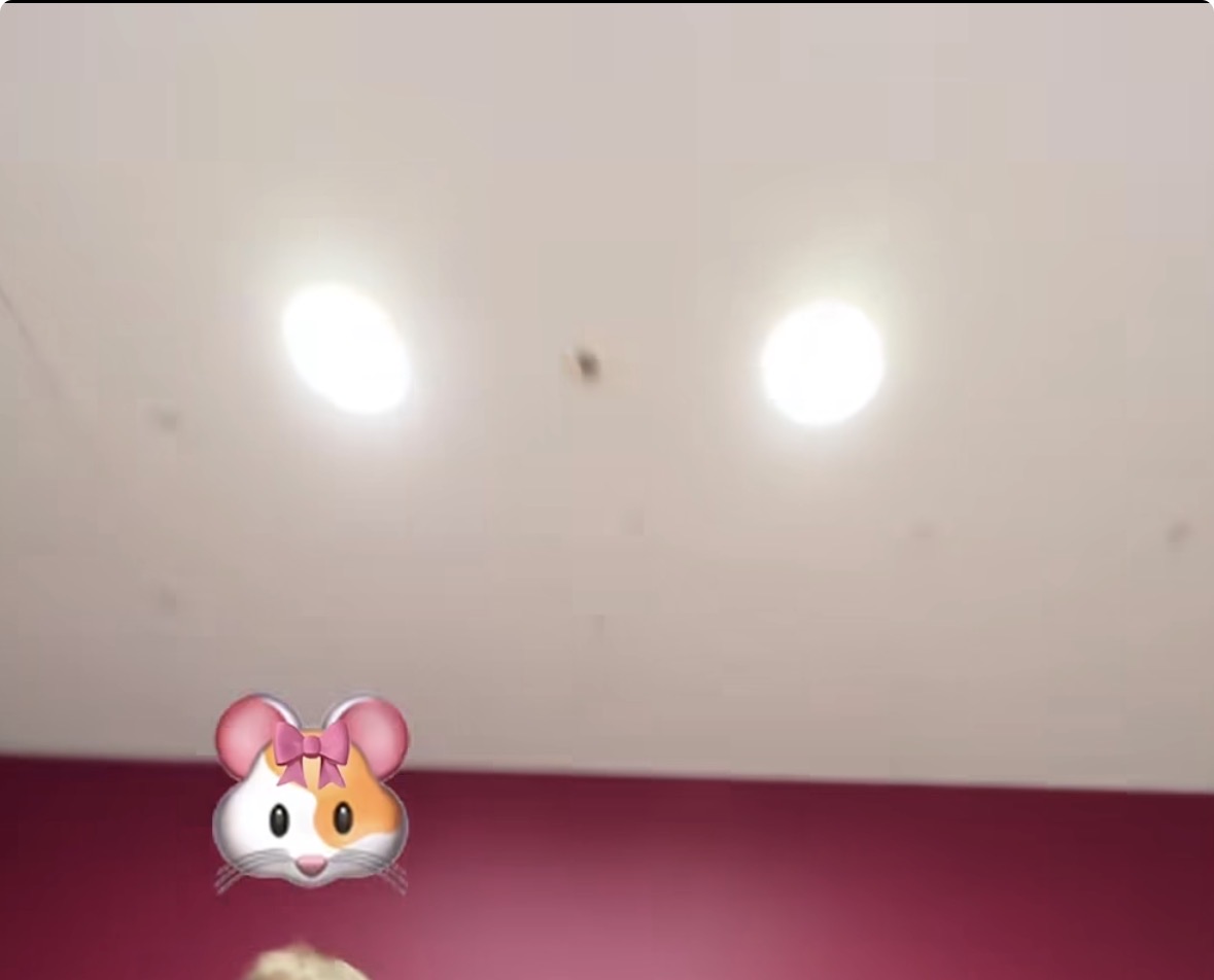 RHxZDb
