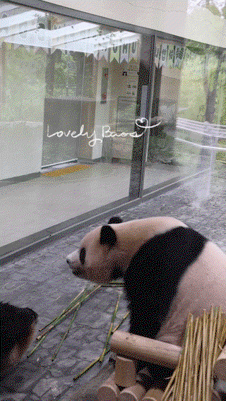 RIwcWM.gif