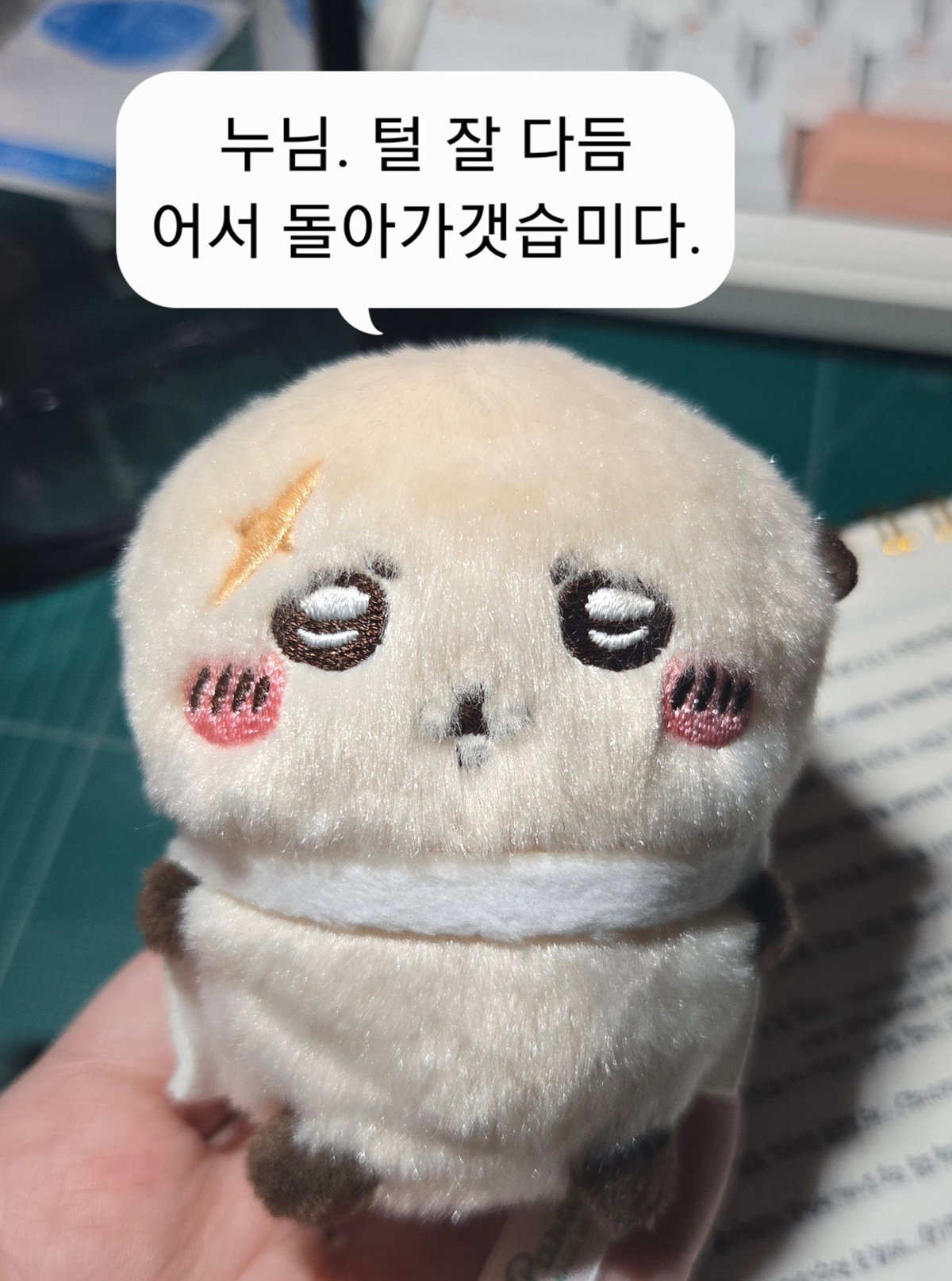 RJEPrI