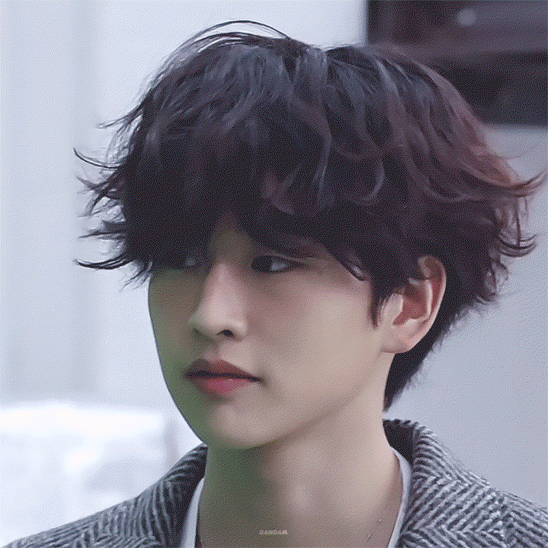 RJLsSW.gif