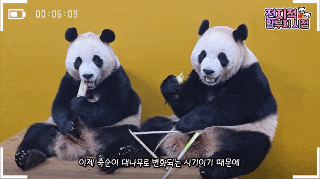 RJSWKR.gif