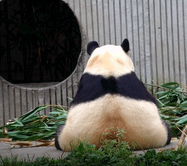 RJkQfw.gif