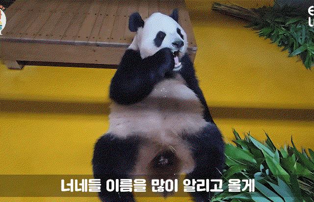 RJtKhO.gif