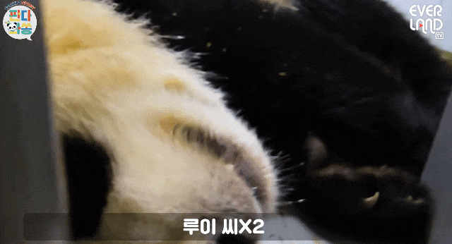 RKHzAz.gif