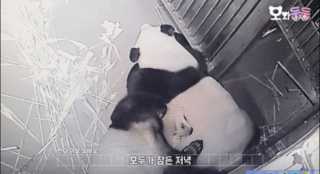 RMdpaR.gif