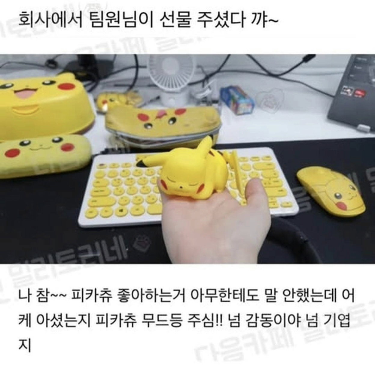 RNHppU