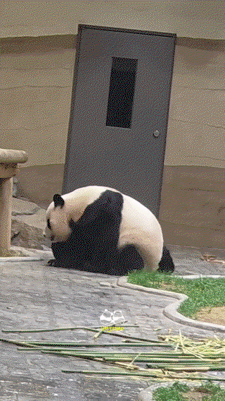 RNqKbS.gif