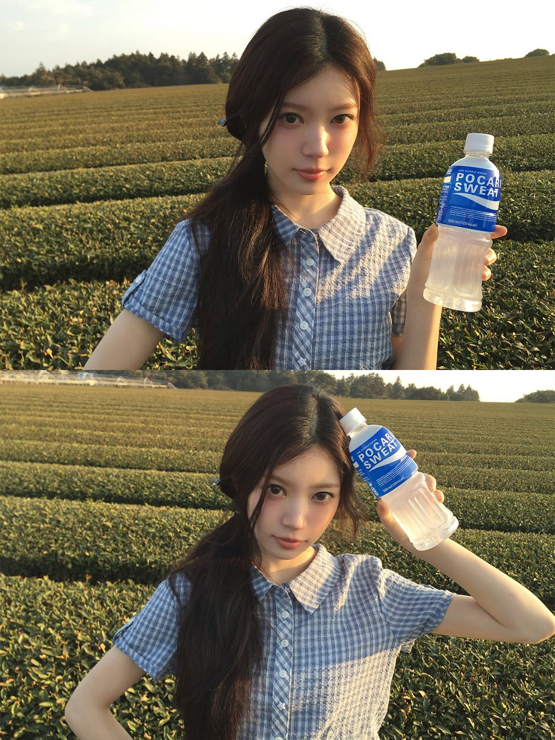 ROIYUy