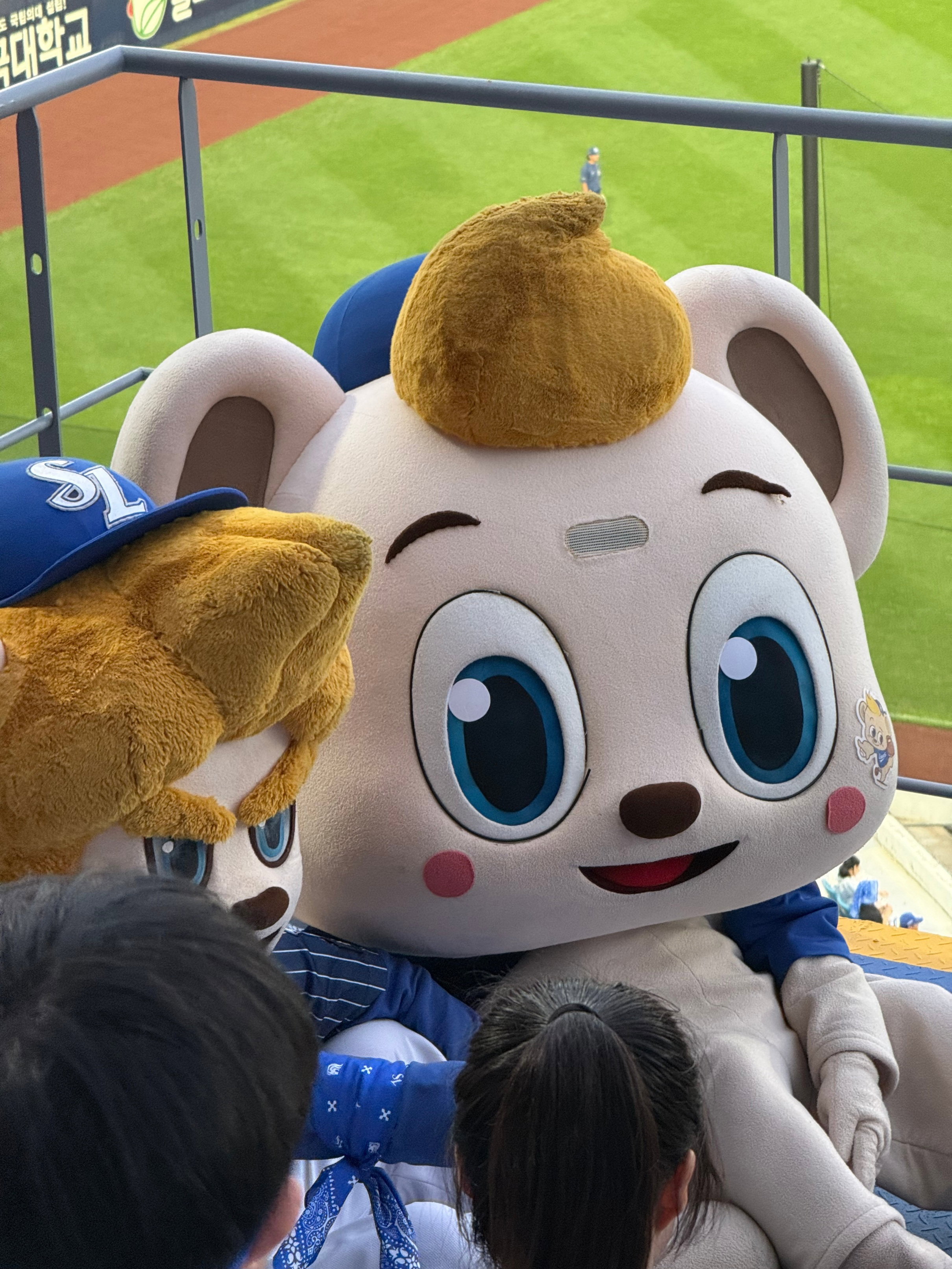 ROMiGx