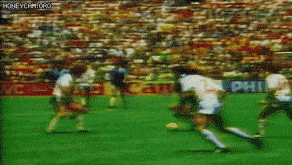 ROiOsS.gif