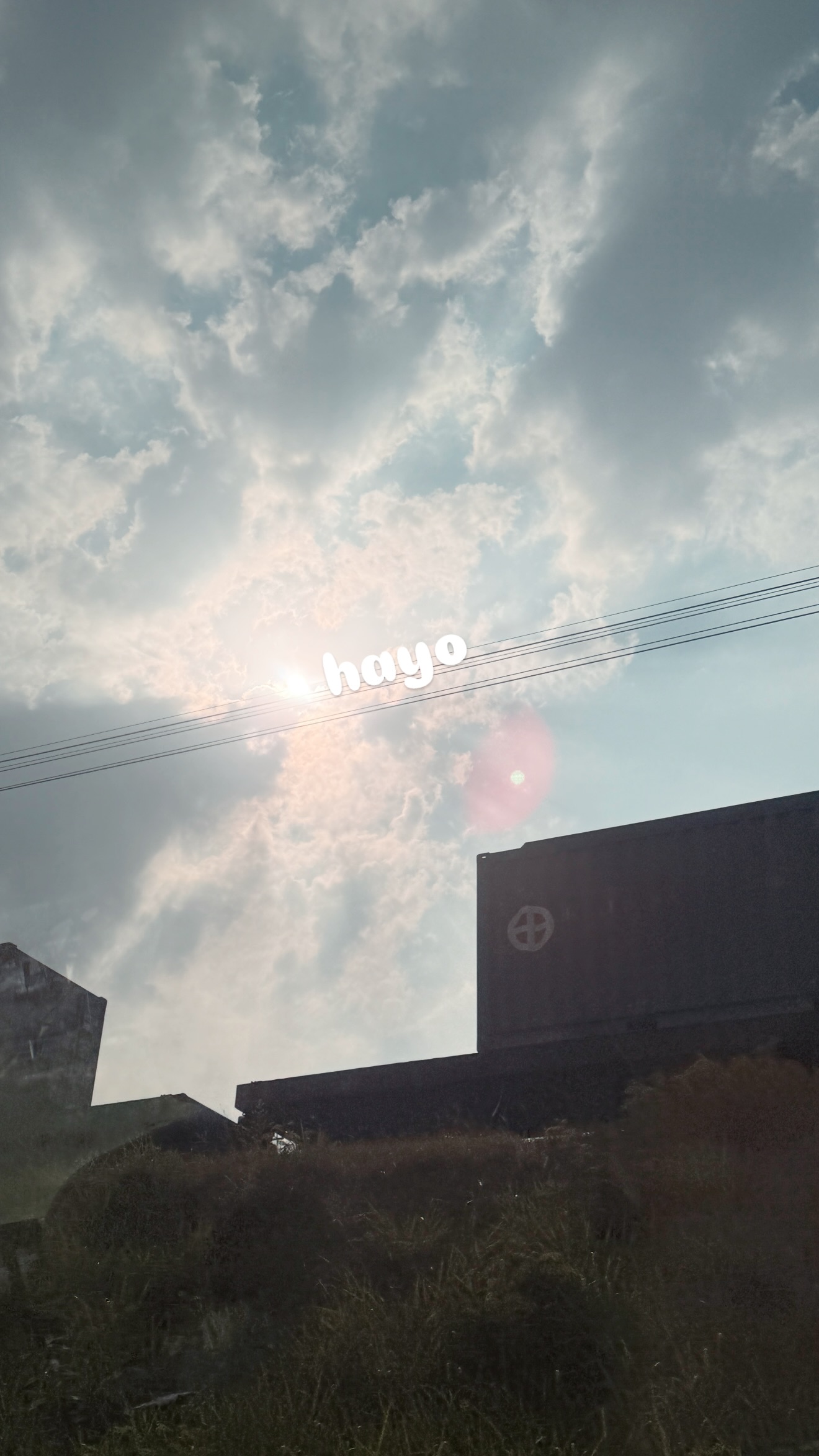 RPsdmP