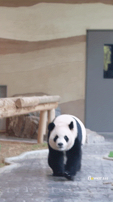 RRaxiI.gif