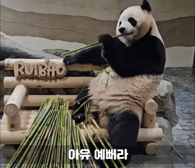 RUEedz.gif
